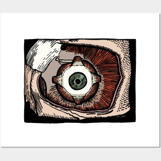 Eye Pry Posters and Art